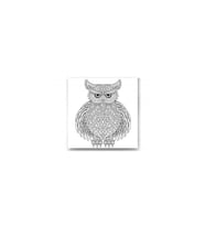 DBSanatevi Mandala Baykuş Tablo 35 X 35 Cm