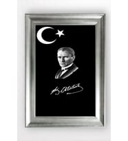 GÜMÜŞ ÇERÇEVELİ TABLO A1401