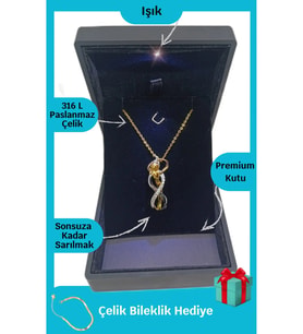 Işıklı Premium Kutuda Birbirine Sarılan Sonsuzluk Kolye Gold  316l Çelik  Hediye Paketi