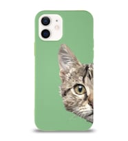 Apple iPhone 12 Mini Uyumlu Lansman Kılıf Catface Tasarımlı Altı Kapalı İçi Kadife Kaplı  Kapak (Şeffaf)