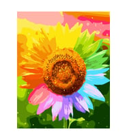 Rengarenk Çiçekçik Sticker(Çerçeveli) 40x50 Sayılarla Boyama Hobi Seti