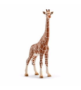 Schleich Dişi Zürafa 14750