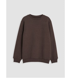 LCW Kids Kahverengi Bisiklet Yaka Erkek Çocuk Sweatshirt
