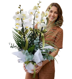 Özel Tasarım Premium 3 Dallı Jumbo Beyaz Orkide Üç Dal Bol Çiçekli Phalaenopsis