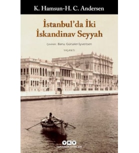 İstanbul'Da İki İskandinav Seyyah