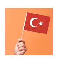 Çubuklu Kağıt Türk Bayrağı 12x20 cm - 80 Adet - 23 Nisan Okul ve Kutlama Tipi (Kırmızı-Beyaz)