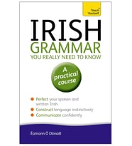 Irish Grammar You Really Need To Know
