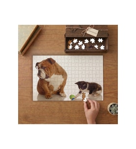 Bulldog Köpeği ve Sevimli Yavru Kedi Tasarımı 240 parça Ahşap Puzzle Ahşap Kutuda MP02500