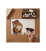Bulldog Köpeği ve Sevimli Yavru Kedi Tasarımı 240 parça Ahşap Puzzle Ahşap Kutuda MP02500