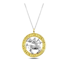 ?Gümüş Gold Yay Burcu Kolye