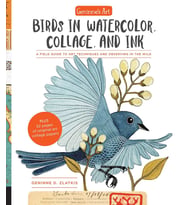 Geninne'S Art: Birds In Watercolor, Collage, And Ink: A Field Guide To Art Techniques And Observing  (Krem)