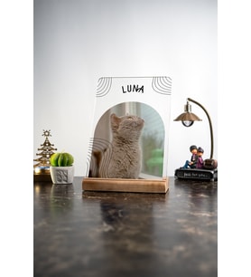 Evcil Dostlar Kedi - Köpek Kişiselleştirilebilir Masa Dekouru Dekoratif Ahşap Obje