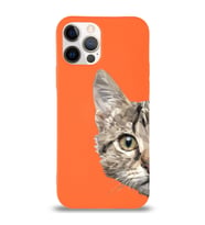 Apple iPhone 12 Pro Uyumlu Lansman Kılıf Catface Tasarımlı Altı Kapalı İçi Kadife Kaplı  Kapak (Şeffaf)
