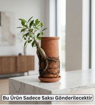 Canlı Saksı  Hidroponik El Yapımı Topraksız Saksı (Koyu Bej - Kahverengi)