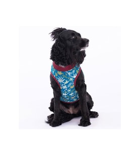 Pawstar Kedi ve KÜÇÜK Köpek T-Shirt Dino 2XL Sırt43cm Göğüs58cm Boyun38cm