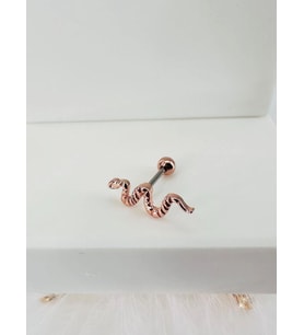 Tragus Kıkırdak Küpesi
