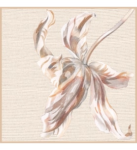 İtalyan Şifon Bej Krem-110x110