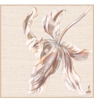 İtalyan Şifon Bej Krem-110x110