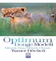 Optimum Denge Modeli