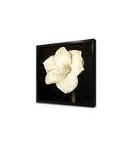 Çiçek Çerçeveli Mdf Tablo