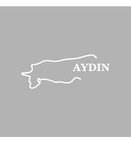 Aydın Harita Araba Sticker siyah 17x7 CM (Beyaz)