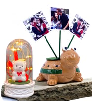 Kişiye Özel Hediye Seti 3 Fotoğraflı Sevimli Kaplumbağa ve Led Işıklı Fanus (Model 5)