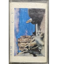 (Plak Değildir KASET tir) Kaset Al Di Meola Cielo e Terra Kaset