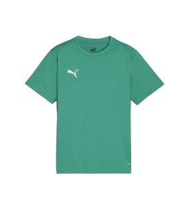 Puma Teamgoal Jersey Erkek Futbol Antrenman Tişörtü 65863605 Yeşil