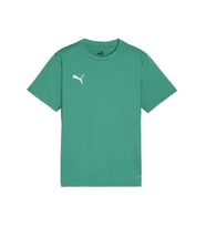 Puma Teamgoal Jersey Erkek Futbol Antrenman Tişörtü 65863605 Yeşil