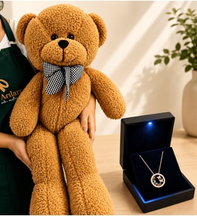 Işıklı Kutuda 925 Ayar Gümüş Renkli Taşlı Yuvarlak Kelebek Yuvası Kolye ve 80 cm Kahve Peluş Ayıcık Hediye