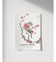 Çerçevesiz Poster Numata Kashu Kuşlar (Çok Renkli)