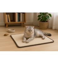 Yumuşak Dokulu Peluş Kedi Halısı 40x40 cm Kulübe İçi Pofuduk Minder (Bej)