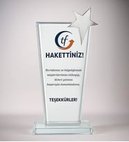 BK Gift Kişiye Özel Yıldız Detaylı Kristal Cam Plaket, Ödül Plaketi, Başarı Plaketi (Gümüş)