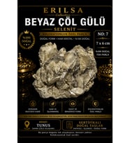 Sertifikalı Beyaz Çöl Gülü Selenit Taşı Kütle - 7x6 cm Koleksiyonluk Doğal Tek Parça