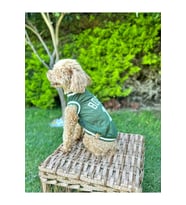 Köpek Kıyafeti, Boston Köpek Forma, Kedi Köpek Elbisesi (Yeşil)