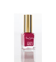 Pierre Cardin Studio Nails Oje -045 (Çok Renkli)