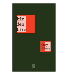 Birdenbire