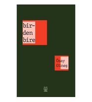 Birdenbire