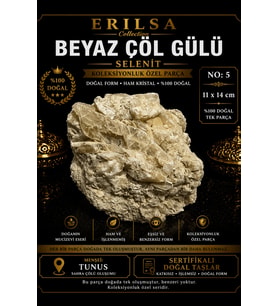 Sertifikalı Beyaz Çöl Gülü Selenit Taşı Kütle - 11x14 cm Koleksiyonluk Doğal Tek Parça