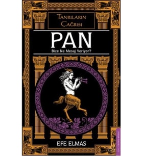 Pan Bize Ne Mesaj Veriyor?