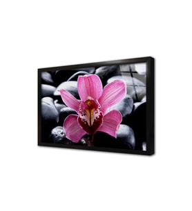 Spa Taşları ve Orkide Çerçeveli Cam Tablo