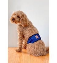 Salya Store Köpek Çiş Bezi Erkek Köpekler Için Külot Mavi Kl-105