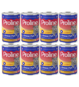 Proline Okyanus Balıklı Yetişkin Kedi Konservesi 395 Gr*8 Adet (Kahverengi)