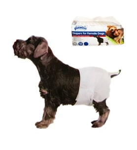 Pawise Dişi Köpek Çiş Bezi Small 12'li