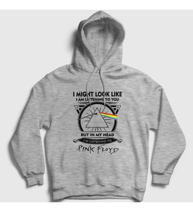 Presmono Unisex Gri Listening To Pink Floyd Kapüşonlu Sweatshirt 351387tt (Gri)