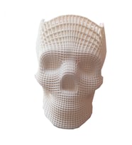 Nct  3D Printer Baskı Özel Meshli Kuru Kafa Kalemlik Beyaz