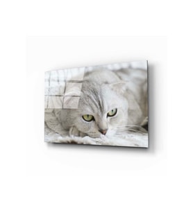 Miyrem Glasses Collection -A1^#  Kedi Cam Tablo (Çok Renkli)