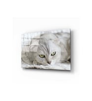 Miyrem Glasses Collection -A1^#  Kedi Cam Tablo (Çok Renkli)