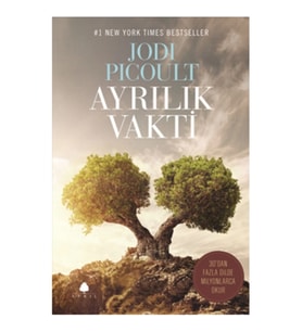 Ayrılık Vakti