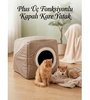 Plus Çok Fonksiyonlu Kare Yatak (Bej)